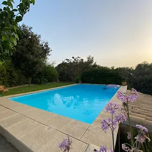 Ses Alzines Apartment